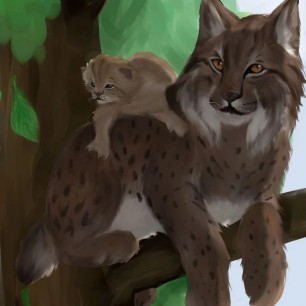 Семейство рыси