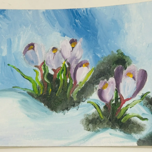 Милые крокусы