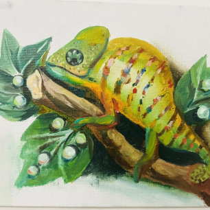 Свой среди чужих