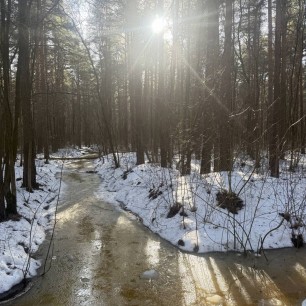 Весна пришла