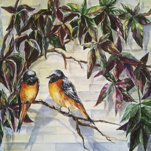 Горихвостки