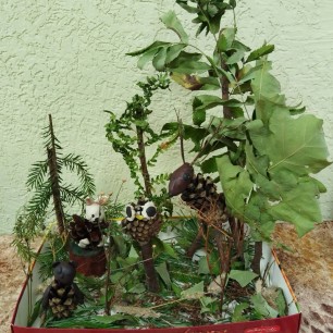 Чудеса леса