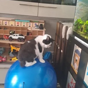 "Это всё моё"