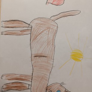 Мой любимый котик