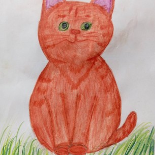 "Кот Персик"