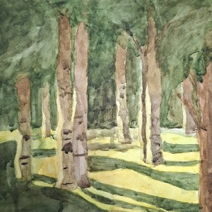 Солнечный свет в парке