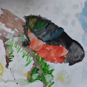 Снегирь на ели