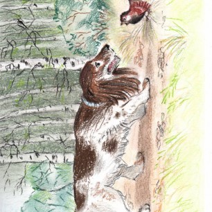 Собака и птичка