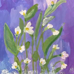 Первые подснежники