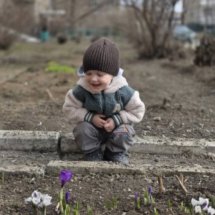 Первоцветы "Крокусы"