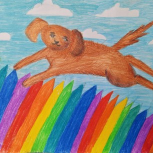 Радужный полет