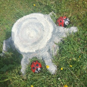 "Поздняя весна"