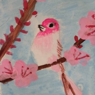 Южная гостья в весеннем цвету