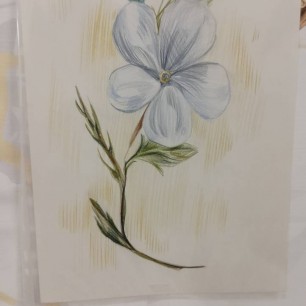 "Нежный цветок для мамы"