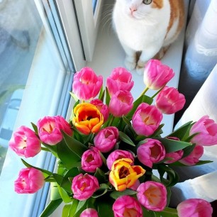 Пушистый флорист