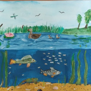 " Многообразие водного мира Тульской области "