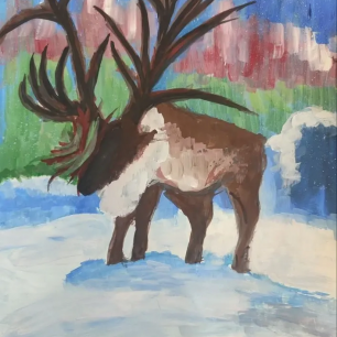 «Волшебство Севера»