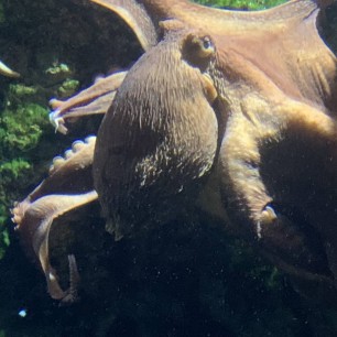 МБОУ СОШ № 5 города Югорска