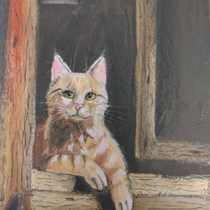 Деревенский кот