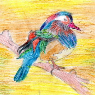 Яркая певунья