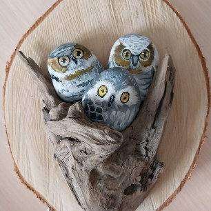 "Совиная семья"