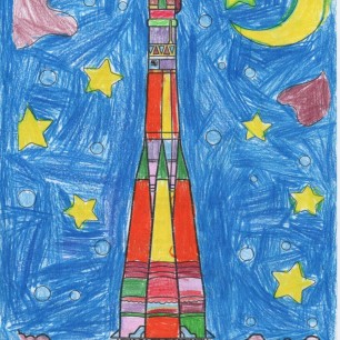 Стальная птица космоса