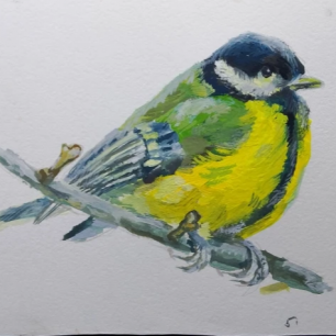 Синица на ветке