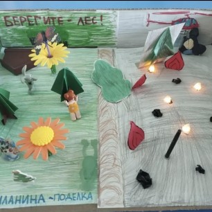 "Лесные пожары: беда для природы"