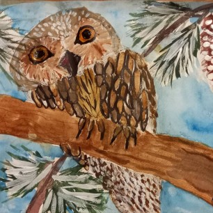 Совушка зимой.