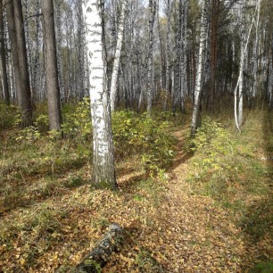 Природа Сибири