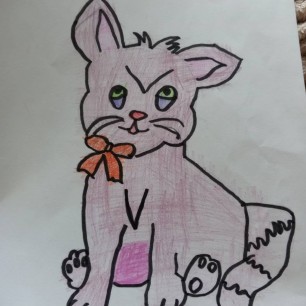 "Розовый котик"