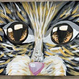 Медный Котик