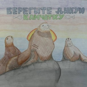 Дикая природа Камчатки