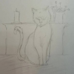 Мой кот Васька