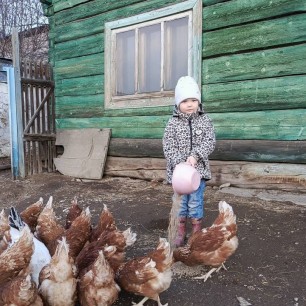 Курочки- рябушки