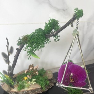 Весенний сад