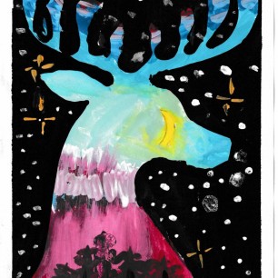 " Зеркало природы"