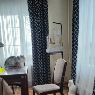 КотоТеатр