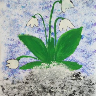 Первоцветы