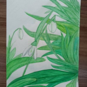 Дыхание весны