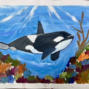 Косатка в море