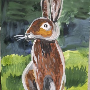 Любопытный зайчик