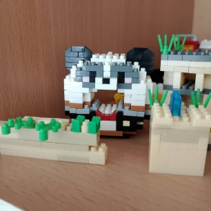 Весёлая панда