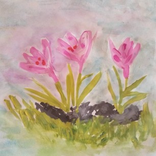 Крокусы для мамы