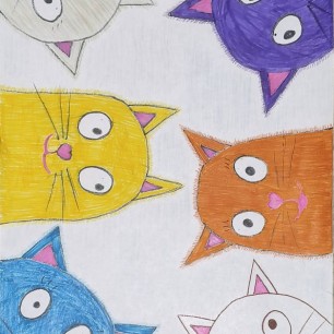 Коты и кошки
