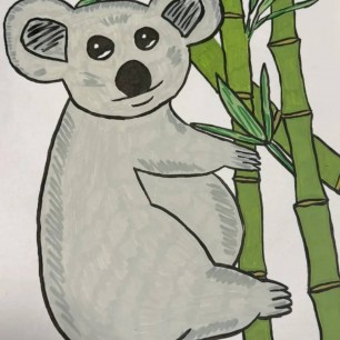 Коала
