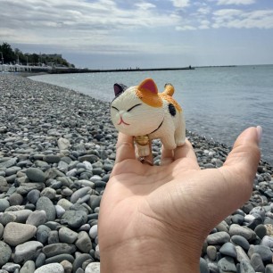 Путешествие кота к морю