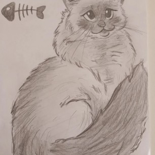 Счастливый котик