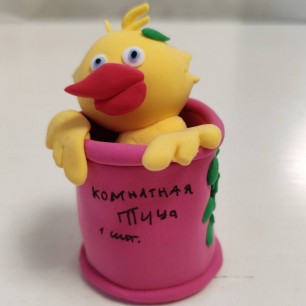 "Комнатная птица"