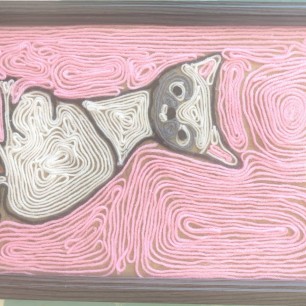 Кот